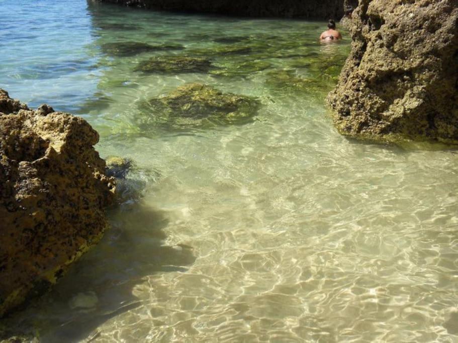 Apartamento Encantador A 100M Da Praia Carvoeiro  Exterior foto